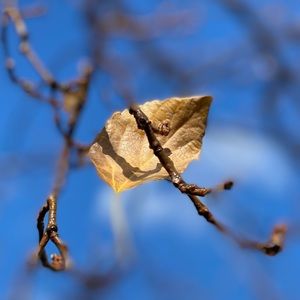 Meet your Posher, Maribel